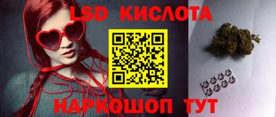 mdpv Гусев