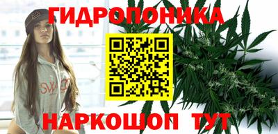 ГАЛЛЮЦИНОГЕННЫЕ ГРИБЫ Гусиноозёрск