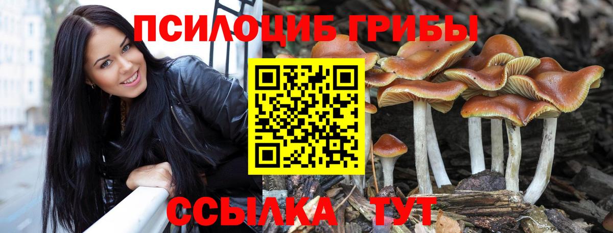 Галлюциногенные грибы прущие грибы  Вход с VPN  Уссурийск  дарнет шоп  Псилоцибиновые грибы Psilocybe 